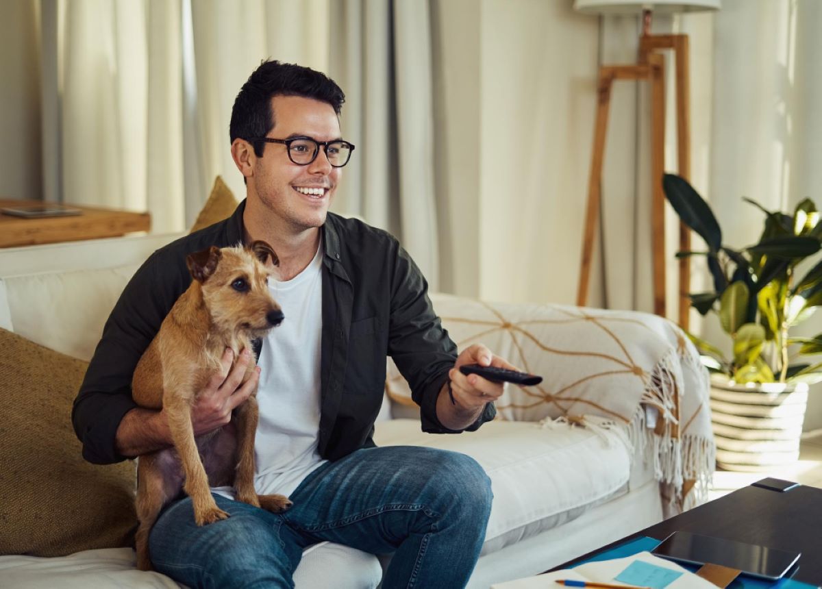 Breathalysers for Pet Owners Can It Help Detect Ethanol Poisoning in Animals