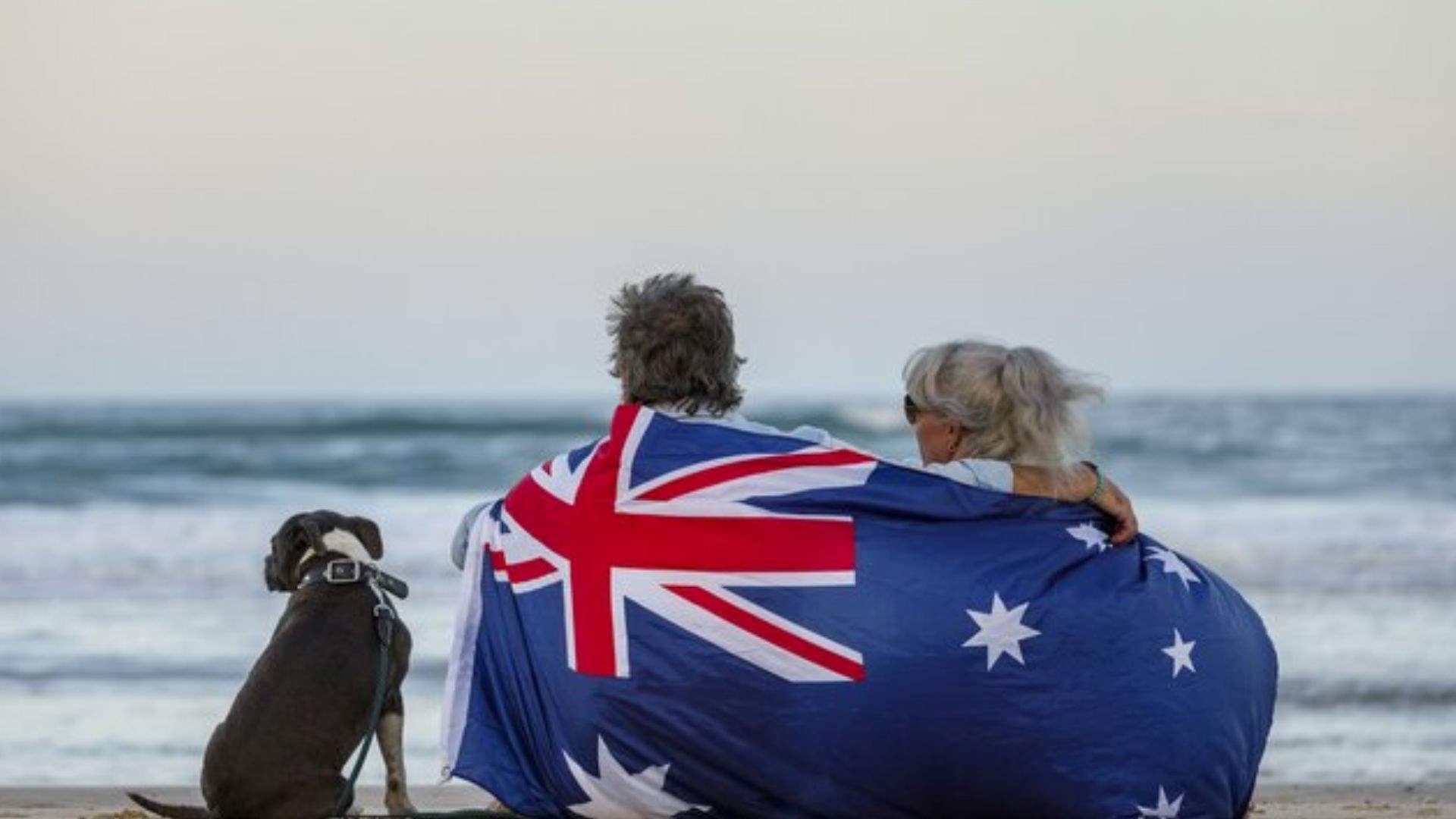 A couple enjoys the beach with their blue English Stafford dog, reflecting breathalyser use during Australian holidays.