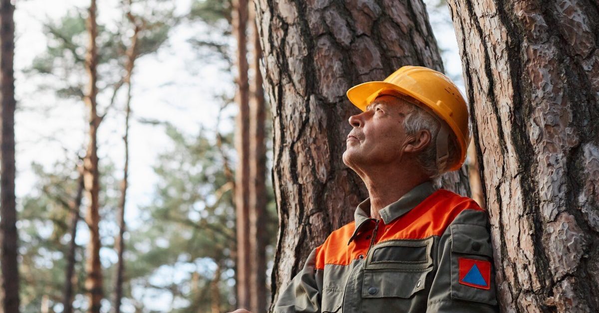 man uses breathalysers in forestry and outdoor work