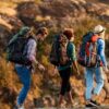 Travel-Friendly Breathalysers for Enthusiasts and Adventurers