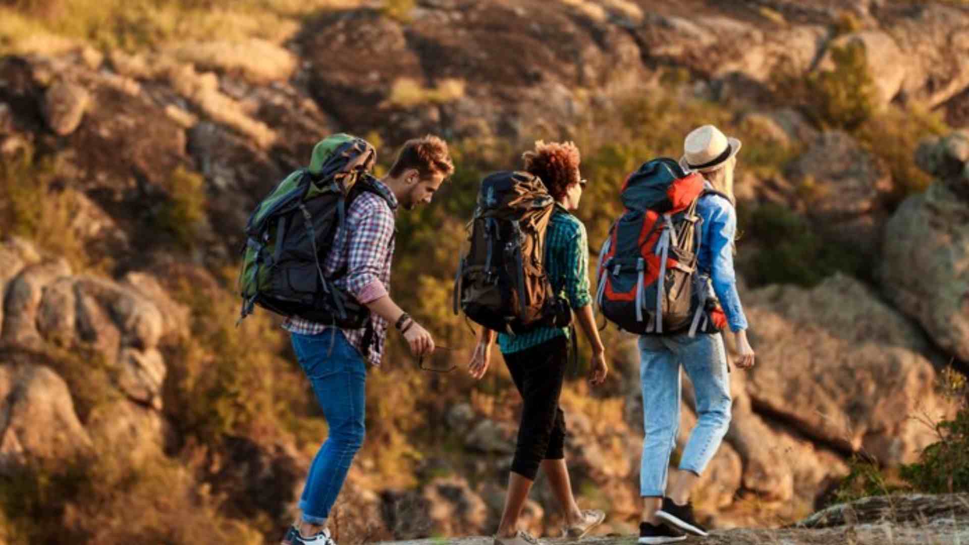 Travel-Friendly Breathalysers for Enthusiasts and Adventurers